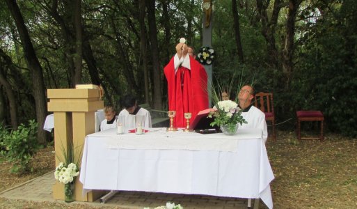 Ünnepi szentmise VII
